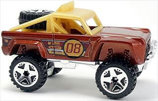 Custom Ford Bronco